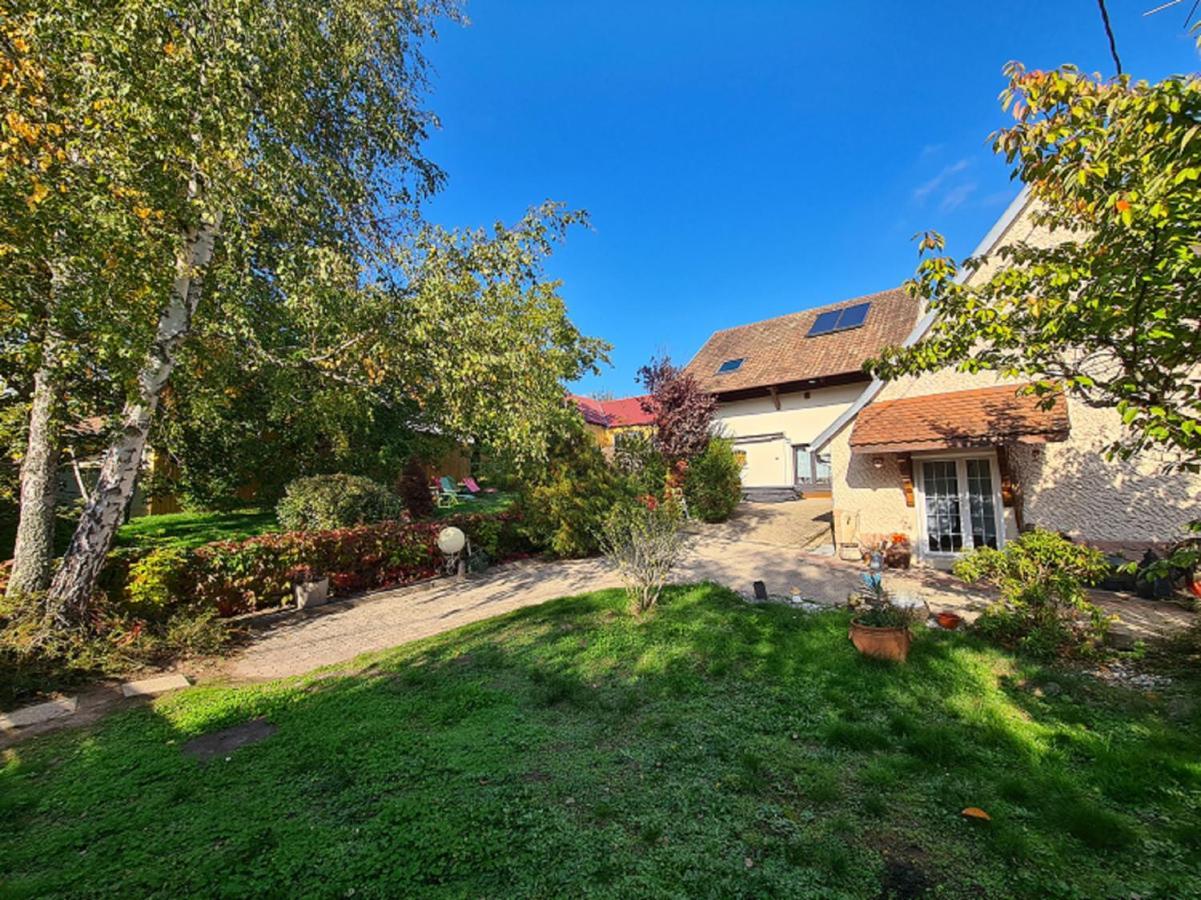 Villa Maelio Jacuzzi Sauna Et Salle De Jeux - Privatif Saint-Maurice (Bas-Rhin) Exterior foto